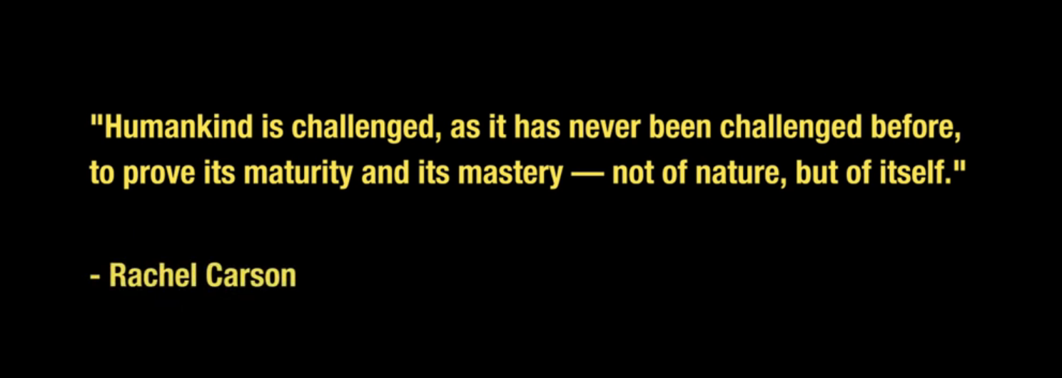 Rachel Carson — Humankind Challenged quote image